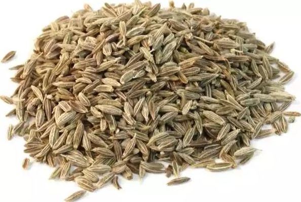 Purity New Wholesale Black Green Unjha Cumin Seeds