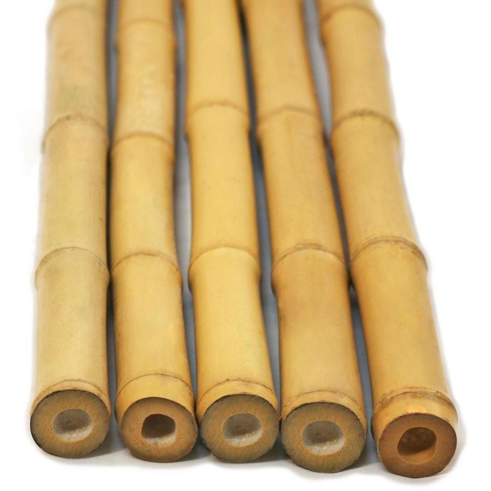 Raw bamboo poles straight from planted forest