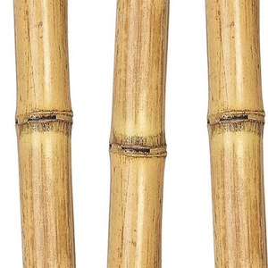 100% natural eco-friendly decorative artificial raw bamboo pole dia.0.8cm*100cm Length