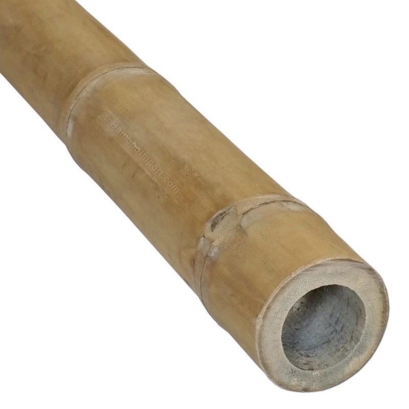 Raw bamboo poles straight from planted forest