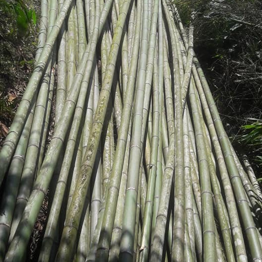 100% natural eco-friendly decorative artificial raw bamboo pole dia.0.8cm*100cm Length