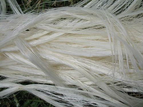 Kenya sisal fiber for sale