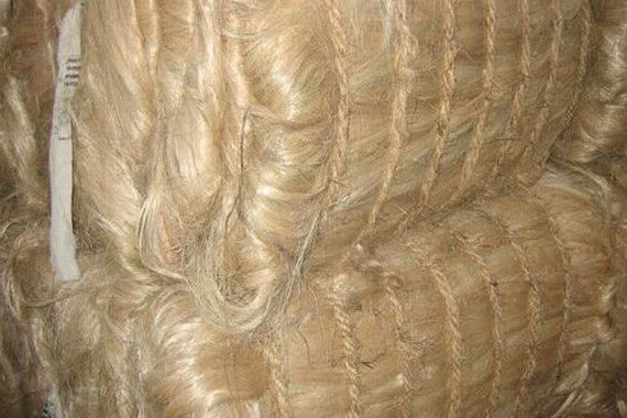 Kenya sisal fiber for sale