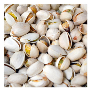 Premium Grade Bulk Wholesale Competitive Price Pistachio Nuts / Pistachio