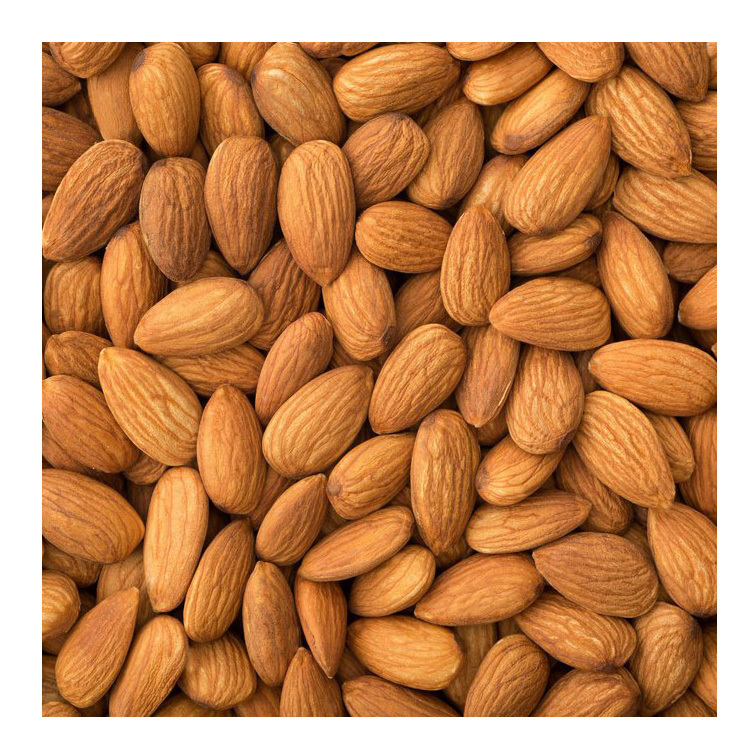 Cheap price premium Almond Nuts Almond Kernel Sweet Almond