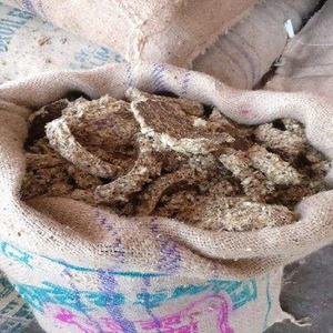 Quality Cotton seed hulls Price/Cotton Seed Meal (Animal Feed)