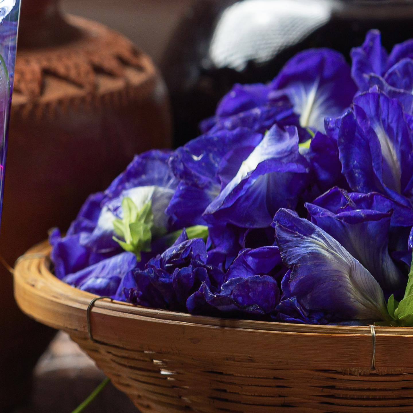 New Herbal Dried Butterfly Pea Fragrance Dry Flowers Purple Tea Packaging Wholesale Dried Blue Butterfly Pea Flower Tea