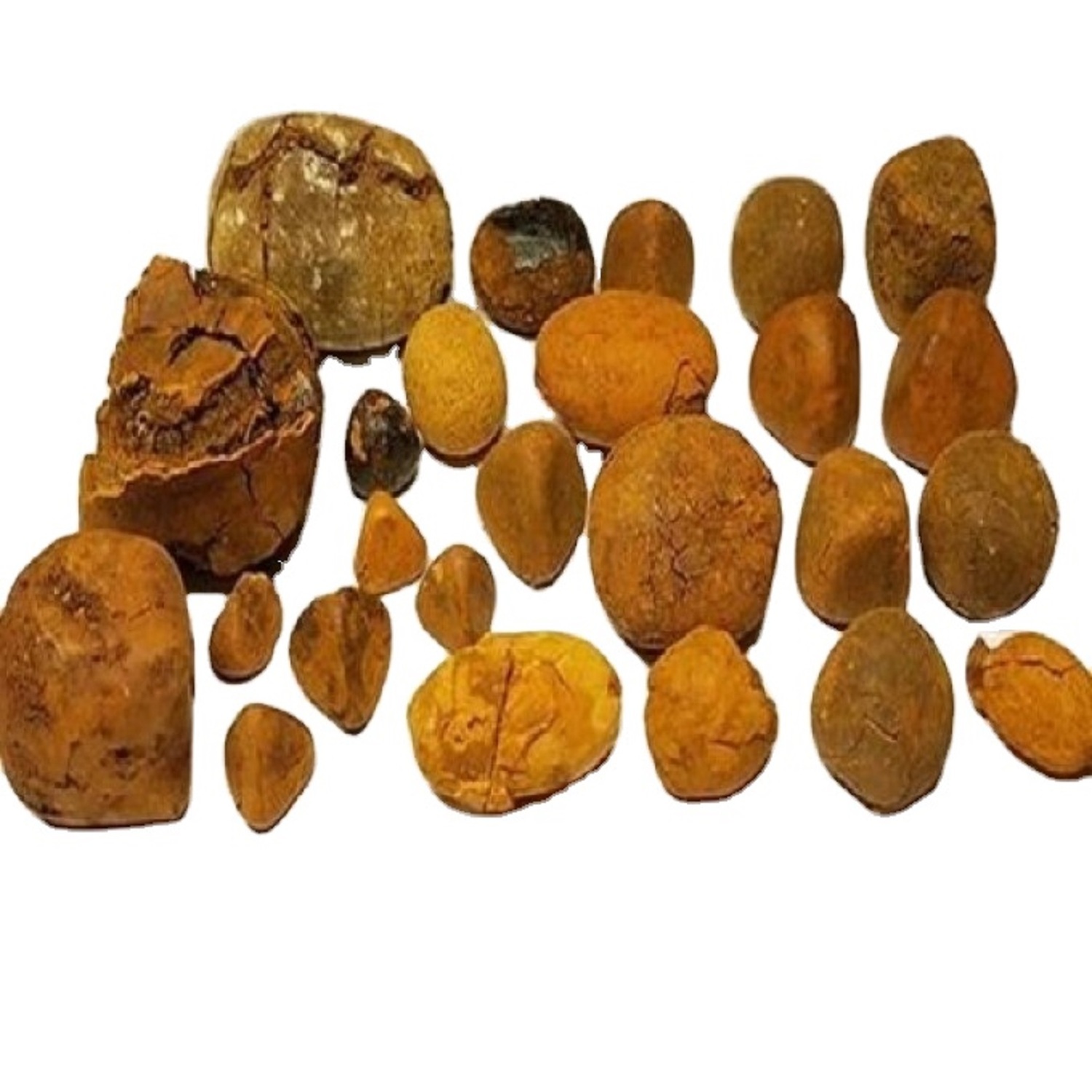 Dried Cow Ox Gallstones available for sale EUROPE