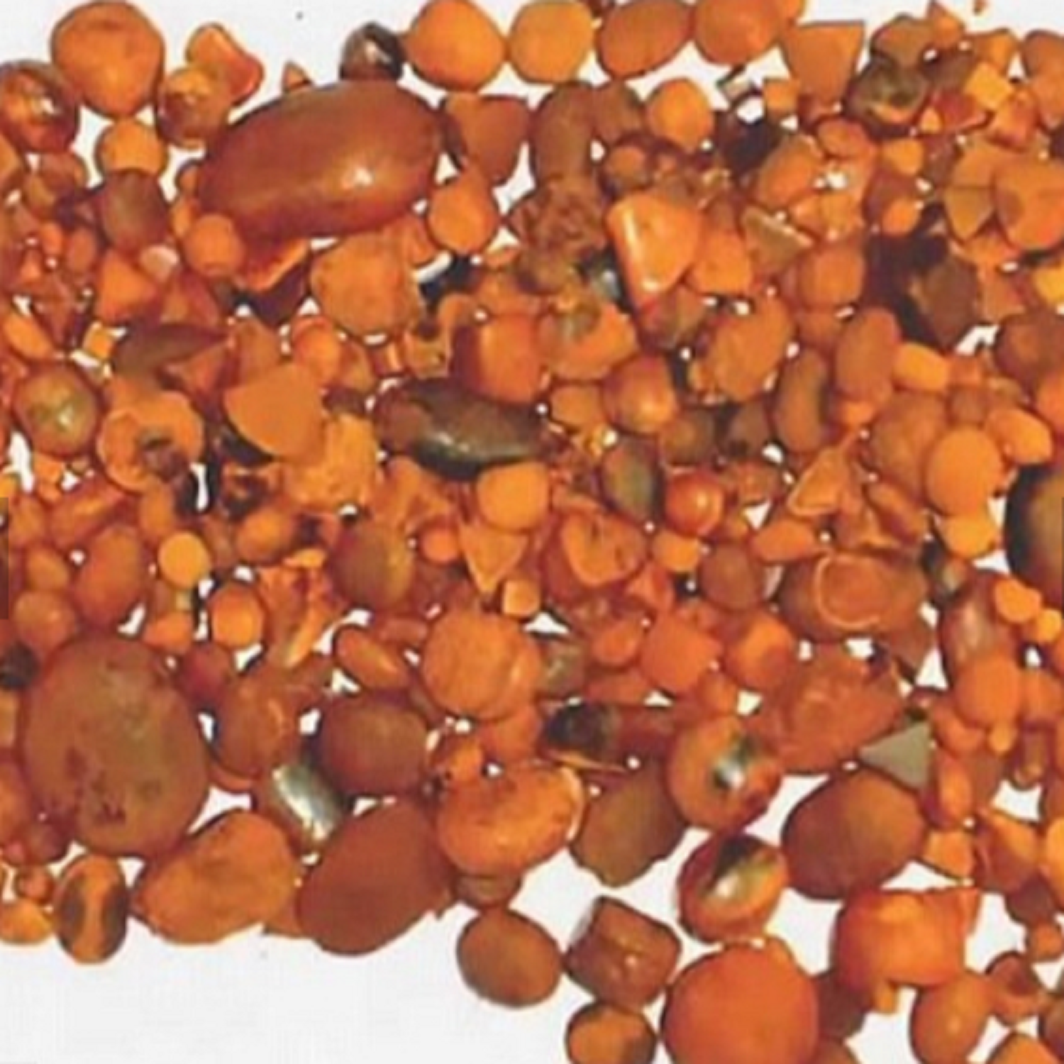 Dried Cow Ox Gallstones available for sale EUROPE