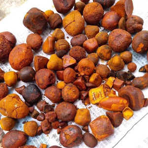 Dried Cow Ox Gallstones available for sale EUROPE