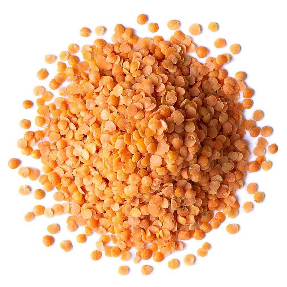 Split Red Lentils Available For Sale At Low Price Fresh Red Lentil for Europe Bulk