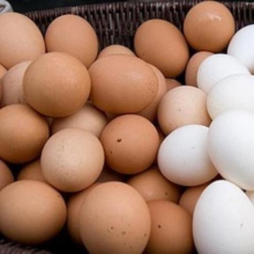 Best Quality Fresh Brown Table Chicken Eggs At Cheap Price world wide shipping available