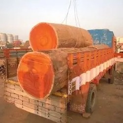 Good price Timber Logs Teak Wood / Oak Wood Logs ready Export