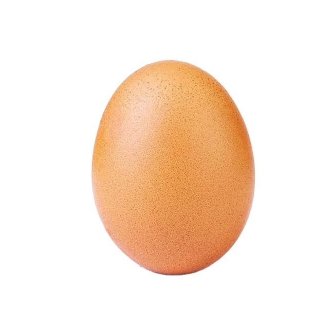 Quality 100% Fresh Table Brown / White Chicken Eggs for sale