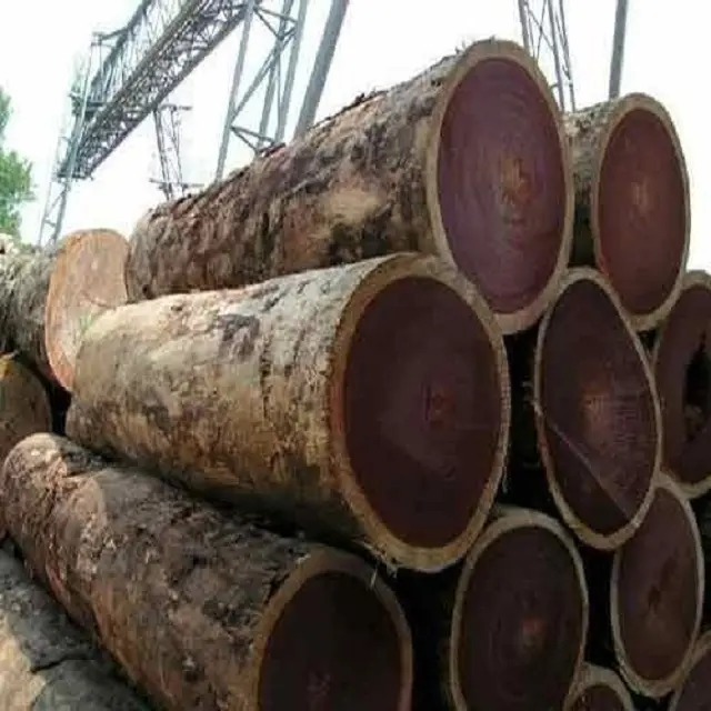 Good price Timber Logs Teak Wood / Oak Wood Logs ready Export