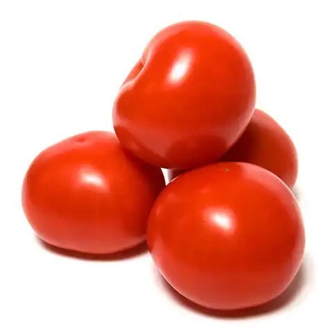 Good quality fresh beef tomatoes in bulk Cherry tomato in bulk Fresh plum tomatoes for sale