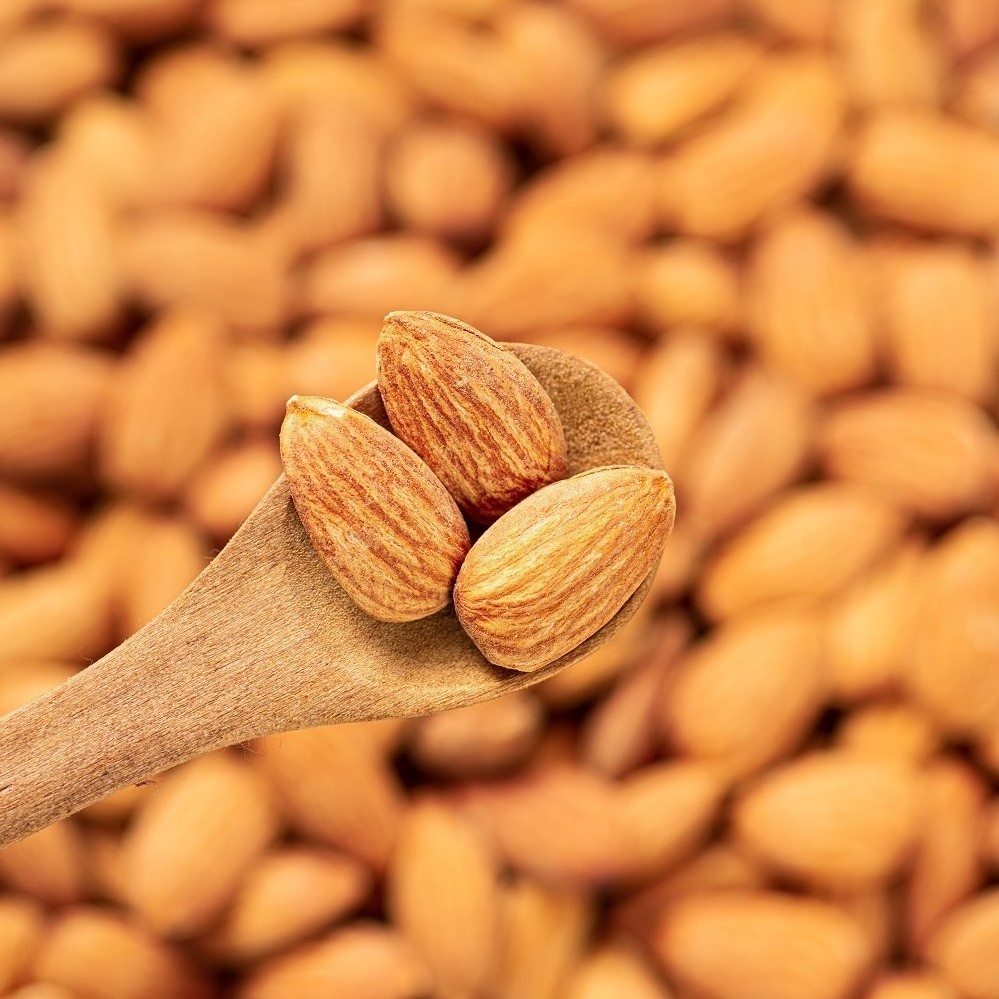 bulk 1kg nuts raw 100% natural kernel bitter almond