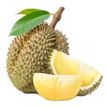 Wholesale frozen durian fruit/ durian puree - Frozen durian fruit on sale - Export worldwide