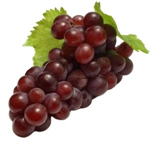 Wholesale price for fresh grapes quality delicious seedless organic grapes