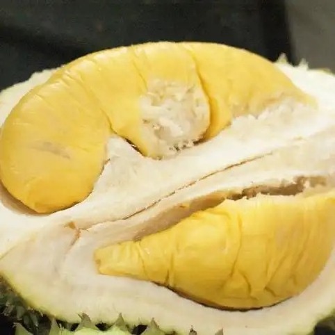 Wholesale frozen durian fruit/ durian puree - Frozen durian fruit on sale - Export worldwide