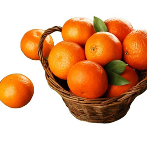 Fresh Orange Valencia Orange Naranja Mexico Fresh Valencia Naval Orange