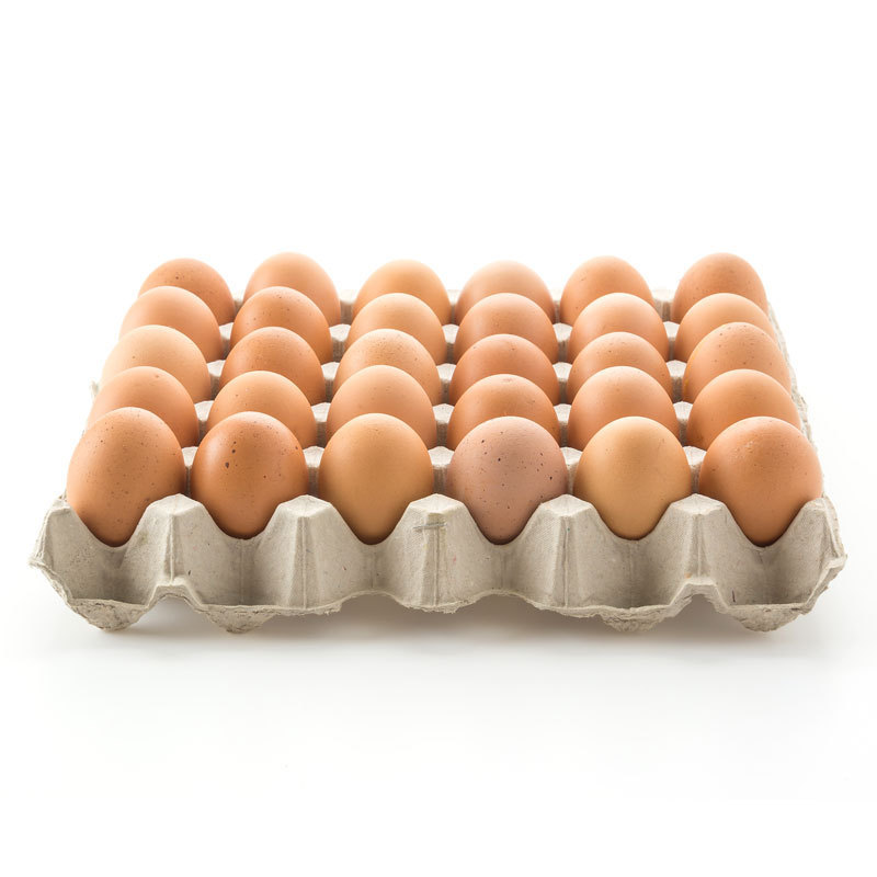 Best Quality Fresh Brown Table Chicken Eggs At Cheap Price world wide shipping available