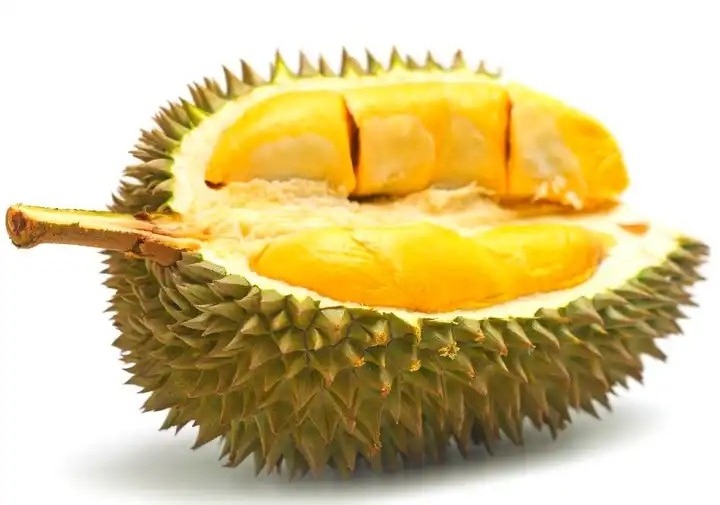 Wholesale frozen durian fruit/ durian puree - Frozen durian fruit on sale - Export worldwide