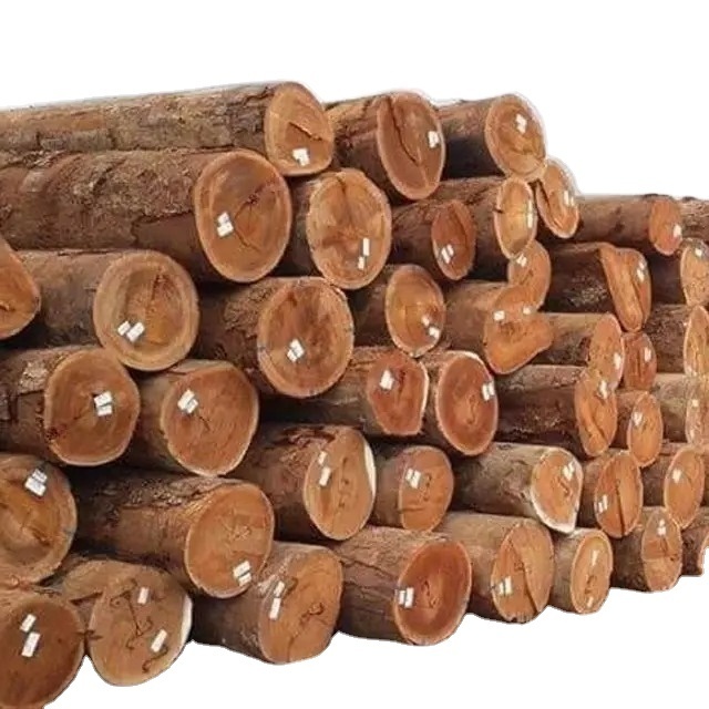 Good price Timber Logs Teak Wood / Oak Wood Logs ready Export