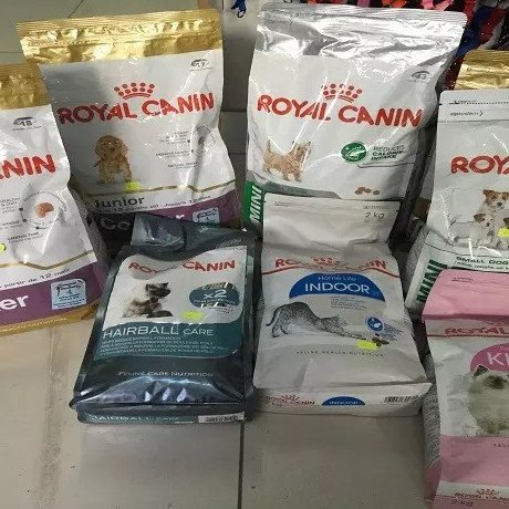 Buy Royal Canin Medium Adult Dry Dog Food | Buy Wholesale Royal Canin | Buy Royal Canin Cat Food Wholesale