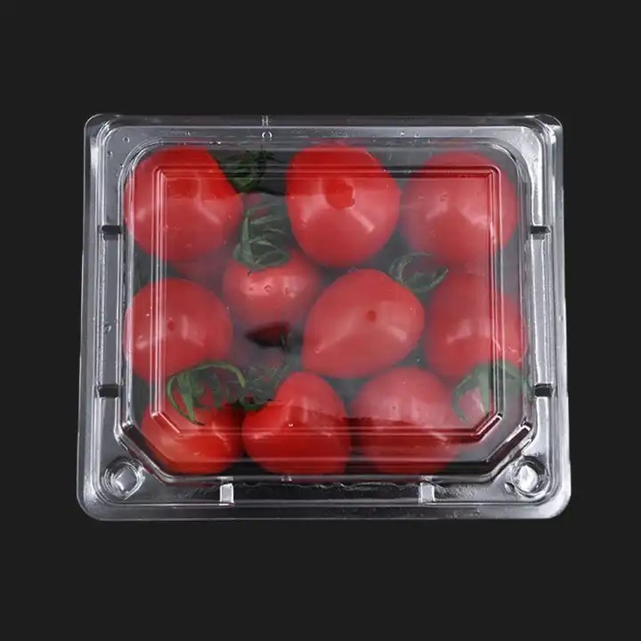 Good quality fresh beef tomatoes in bulk Cherry tomato in bulk Fresh plum tomatoes for sale