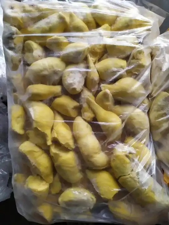 Wholesale frozen durian fruit/ durian puree - Frozen durian fruit on sale - Export worldwide