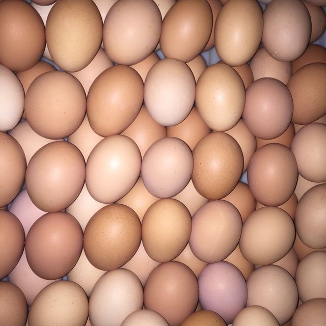 Quality 100% Fresh Table Brown / White Chicken Eggs for sale