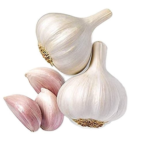 Organic Fresh Garlics (Red and Pure White)  Fresh Garlic White Garlic Normal White Garlic10kg carton