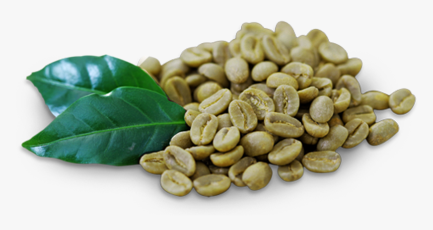 Green Arabica Coffee Beans / Brazilian Coffee Beans For Sale / Ethiopian Arabica Coffee Beans