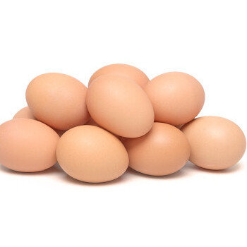 Fertile Hatching Chicken Egg/Fresh Chicken Table Eggs / Fresh Chicken Table Eggs Fresh Chicken Hatching