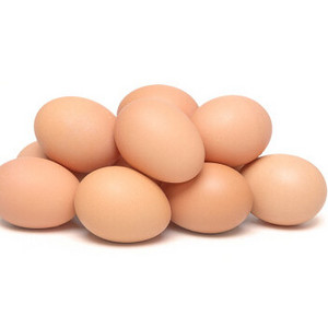 Fertile Hatching Chicken Egg/Fresh Chicken Table Eggs / Fresh Chicken Table Eggs Fresh Chicken Hatching