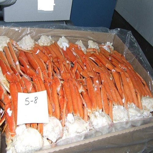 Whole Red King Crab/ King Crab Wholesale Frozen / King Crab