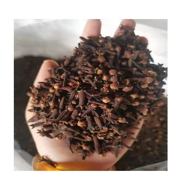 Aromatic spices Clove Food Grade High Quality Spices Herbs From Indonesian Supplier Agrocraft Factory Direct Supply Wholesale