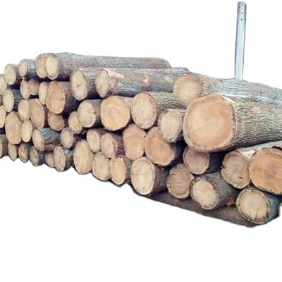 Eucalyptus logs High Quality Teak Timber Logs Teak Timber, Timber Logs Wood, Best price of Wooden Round Eucalyptus Logs