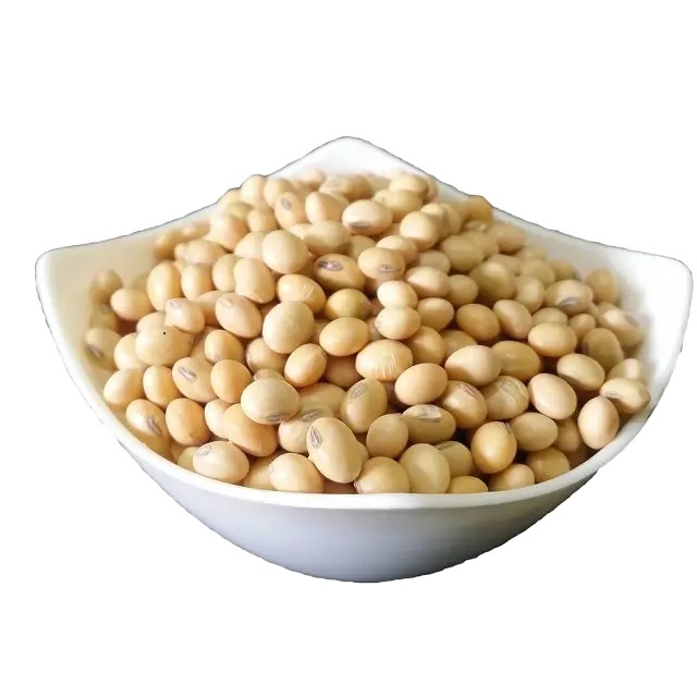 soya bean meal, soybean meal soya bean, soya bean meal price For Sale