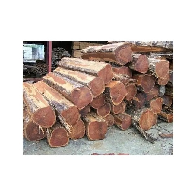 Hardwood timber, Teak wood / Pine wood logs, oak wood logs for supply at cheap price