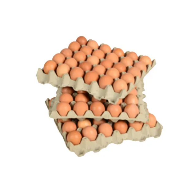 Fertilized Chicken Eggs/ Cobb 500 Broiler Chicken Eggs/Fresh Cobb 700 Fertile eggs