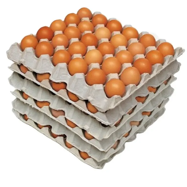 Fertilized Chicken Eggs/ Cobb 500 Broiler Chicken Eggs/Fresh Cobb 700 Fertile eggs