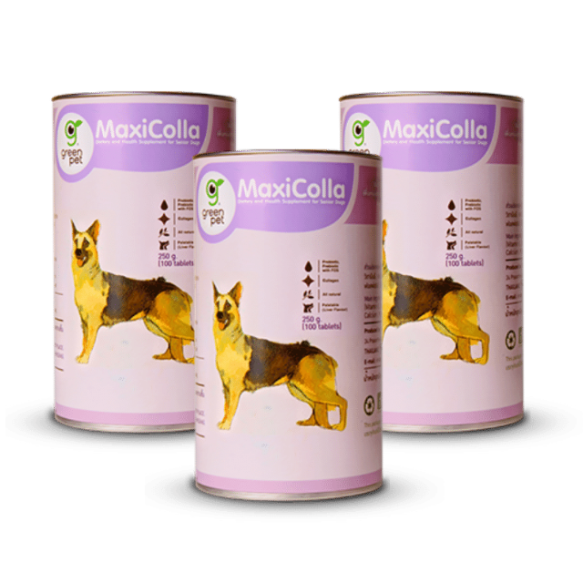 MaxiColla Cat Supplement Probiotic And Collagen Bone And Joint Formula Maxicolla Collagen With Probiotics And Prebiotic (FOS)