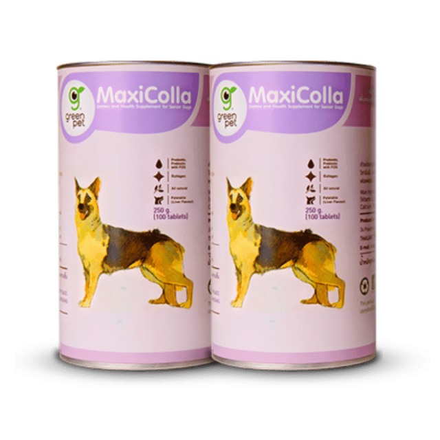 MaxiColla Cat Supplement Probiotic And Collagen Bone And Joint Formula Maxicolla Collagen With Probiotics And Prebiotic (FOS)