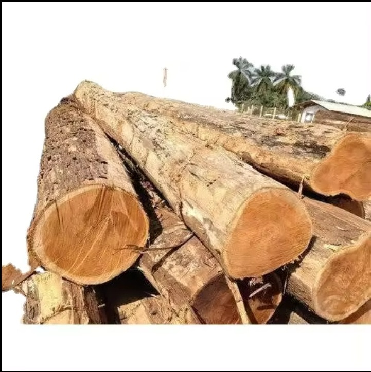 Eucalyptus log Round wood Tree Logs Good Price For Export Best Selling, Best price of Wooden Round Eucalyptus Logs