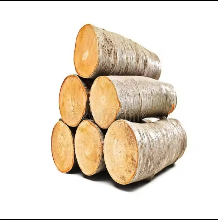 Eucalyptus log Round wood Tree Logs Good Price For Export Best Selling, Best price of Wooden Round Eucalyptus Logs