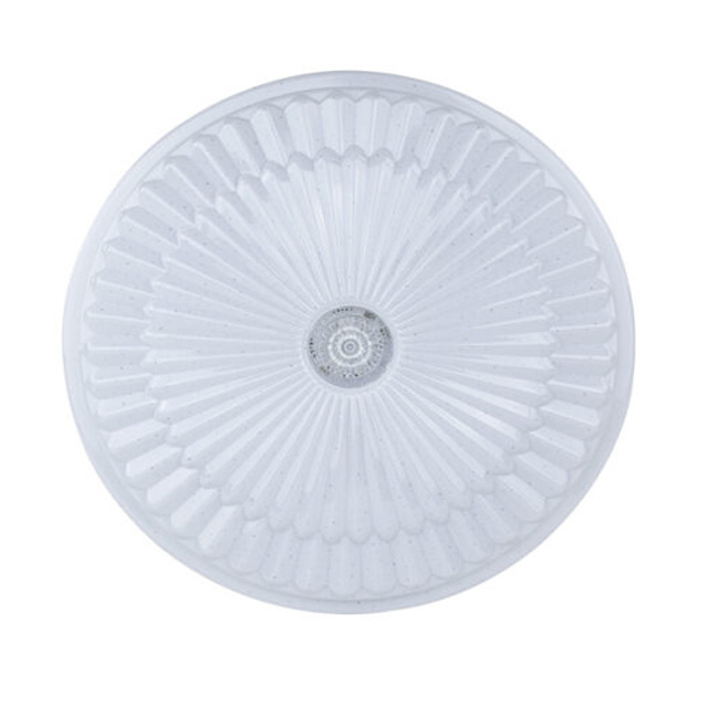 LED Ceiling Light 24W Model: BW-CL2402 In House Light Product Wholesales From Thailand High Quality Export Grade Indoor Lights