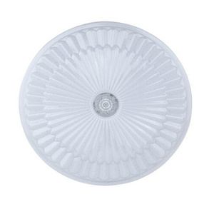 LED Ceiling Light 24W Model: BW-CL2402 In House Light Product Wholesales From Thailand High Quality Export Grade Indoor Lights