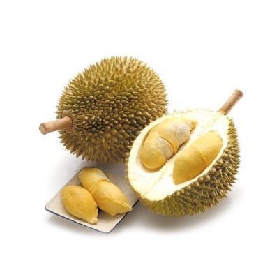 LQF frozen Monthong durian premium quality golden pillow durian new crop best for wholesales